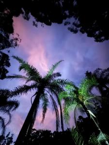 two palm trees in front of a cloudy sky at Tamesis - Wildernest in Neranie
