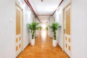 a corridor with potted plants in a hallway at Hotel Kant Palace in Tājganj