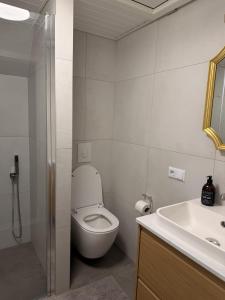 a bathroom with a toilet and a sink at Harknakvej 19 BB in Bredebro