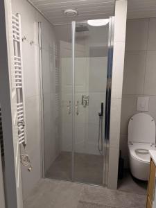 a shower stall in a bathroom with a toilet at Harknakvej 19 BB in Bredebro