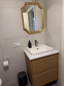 a bathroom with a sink and a mirror at Harknakvej 19 BB in Bredebro