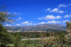 a view of a road with mountains in the background at Cosy Tiny House Centro Vila Real in Vila Real +6 photos