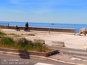 a man and a woman with a dog and a person on the beach at La maison à la mer de Mamé Rosette in Port-de-Bouc
