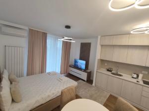 a bedroom with a bed and a television in it at Komitet Planet Apartment - Free Garage & Modern stay in Niš