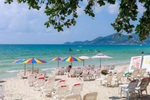 a bunch of chairs and umbrellas on a beach at Best Beach Bungalows in Chaweng