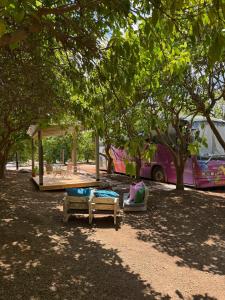 a park with beds and a bus parked under trees at צימרים בצפון - קאמפ דיוויד in Sheʼar Yashuv