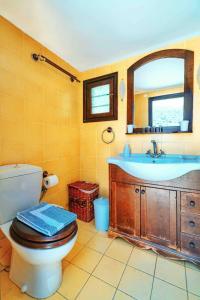a bathroom with a toilet and a sink and a mirror at The Vintage Dovecote in Mesariá