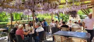 a group of people sitting at tables under a pergola with purple flowers at Studiotel premium 2 personnes in Pamiers