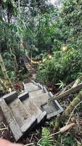 Jardí fora de Lombok Glamping