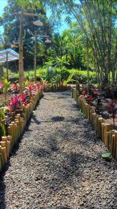 Jardí fora de Lombok Glamping