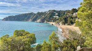 a view of a beach with trees and the ocean at Thelma house Tossa in Tossa de Mar