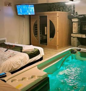a room with a swimming pool and a bed and a tv at Le Petit Paradis de Marcelise in Le Ponchel