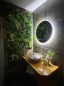 a bathroom with a sink with a plant on the wall at Cabana A Vic in Taşca +37 photos