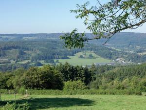 a view from the top of a hill with a tree at Vintage Villa with Private Garden in Rendeux in Magoster