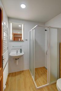 a bathroom with a shower and a sink at Penzion pod Radyni in Starý Plzenec
