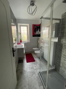 a bathroom with a shower and a cat picture on the wall at Casa CLEO in Domodossola +28 photos