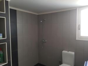 a bathroom with a shower with a toilet in it at Nautilus andros house in Andros