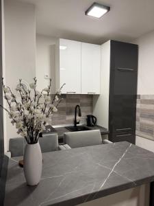 a kitchen with a table with a vase of flowers on it at Sarajevo s Secret -Airport Apartment East Sarajevo in Donje Mladice