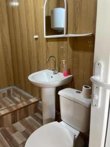 a bathroom with a white toilet and a sink at Dogurashi Turbaza in Tsʼageri +22 photos