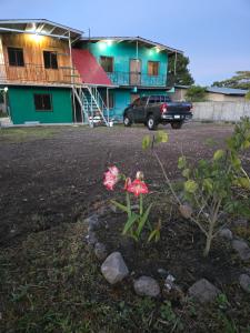 a plant with pink flowers in front of a building at Affordable Spacious Studio Apartment in Nueva California