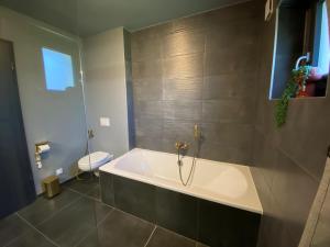 a bathroom with a tub and a toilet at Pepy & Delmis in Chens-sur-Léman