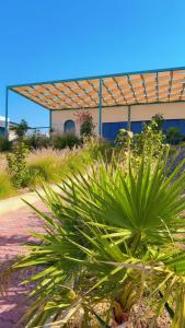 a plant in front of a building with a roof at Dirat Al-Ghizal 2 in Gragrah