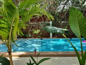 a swimming pool in a garden with plants at Anexx Goa in Vagator