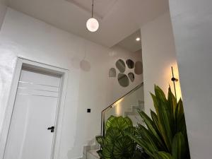 a hallway with a door and a potted plant at Tranquil Residences - Orchid, Lekki in Lekki