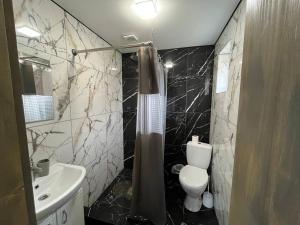 a bathroom with a toilet and a sink at Тростян та річка in Slavske