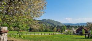 a farm with a fence and a field at western cottage in Rečica ob Savinji +12 photos