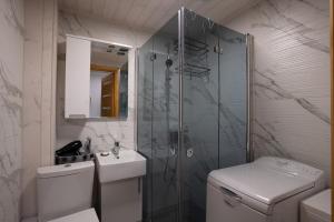 a bathroom with a shower and a toilet and a sink at One bedroom apartment in Viljandi