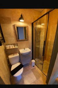 a bathroom with a toilet and a sink and a shower at Hôtel Maisons Delphine - Le Cottage in Villers-sur-Mer +25 photos