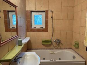 a bathroom with a tub and a sink and a mirror at Valéria Vendégház in Budakalász +9 photos