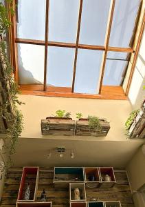 a window in a room with potted plants at Wakapunku Boutique B&B in Cusco +38 photos