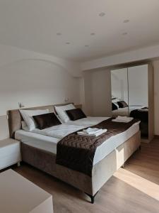 a bedroom with a large bed and a large mirror at Motel Adut Boleč in Donja Kapija