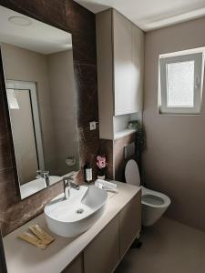 a bathroom with a sink and a toilet and a mirror at Motel Adut Boleč in Donja Kapija +11 photos