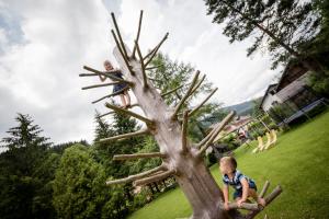 Fotografie z fotogalerie ubytování Gasthof zum Hammer v destinaci Göstling an der Ybbs