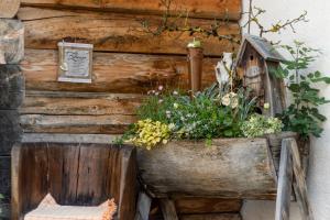 Fotografie z fotogalerie ubytování Gasthof zum Hammer v destinaci Göstling an der Ybbs