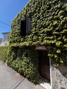 an ivy covered building with a door and windows at Casa vacanza maronti in Barano d'Ischia