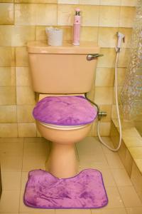a pink toilet with a purple lid in a bathroom at Cutie 3 br Villa Nyali in Mombasa +12 photos