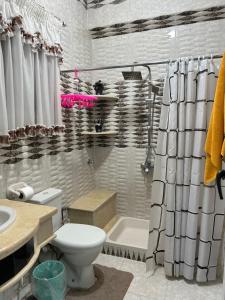 a bathroom with a toilet and a shower at Fatah apartment 12 in Luxor