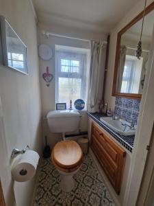a small bathroom with a toilet and a sink at Littlebeck in Danby +43 photos