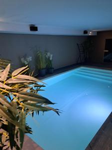 a swimming pool with blue lighting in a room with a plant at Suites et Wellness des Champs-Elysées in Ciney