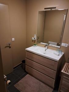 a bathroom with a sink and a large mirror at Suites et Wellness des Champs-Elysées in Ciney
