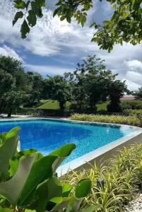 a swimming pool surrounded by trees and plants at stevenplace at Tambuli in Maribago