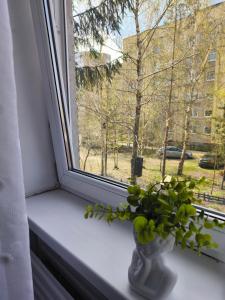 a plant in a vase sitting on a window sill at Patricia Apartments in Vilnius