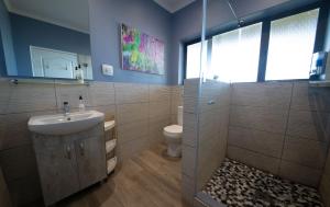a bathroom with a shower and a sink and a toilet at The Butterfly Villa in Pringle Bay +80 photos