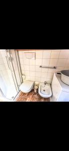 a small bathroom with a toilet and a sink at Bilocale con vista sui monti in Pinzolo +6 photos