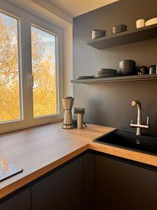 a kitchen with a sink and a window at Design Dachgeschoss Wohnung in Eilenburg +25 photos