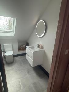 a bathroom with a sink and a toilet and a mirror at Rosies Lodge in Kilkenny +16 photos